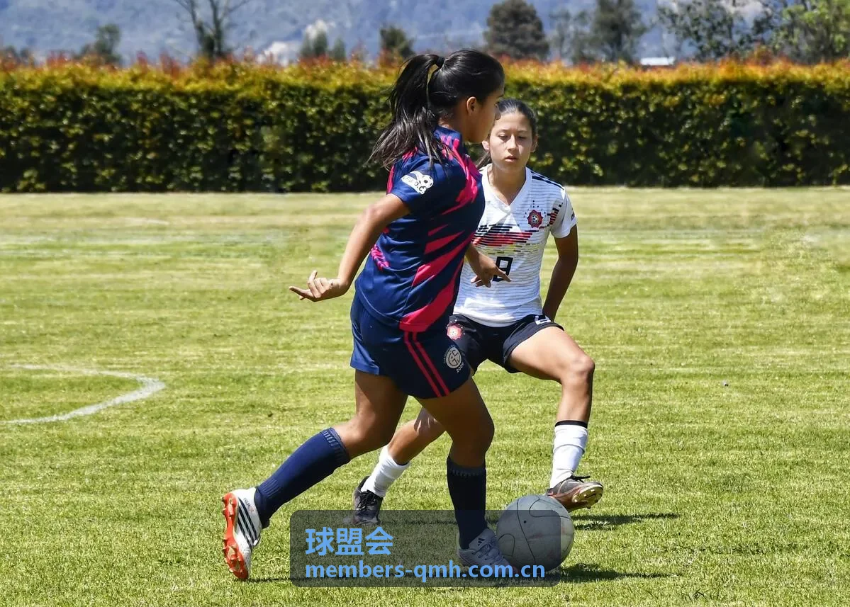 球盟会内容索引与赛事主题视觉